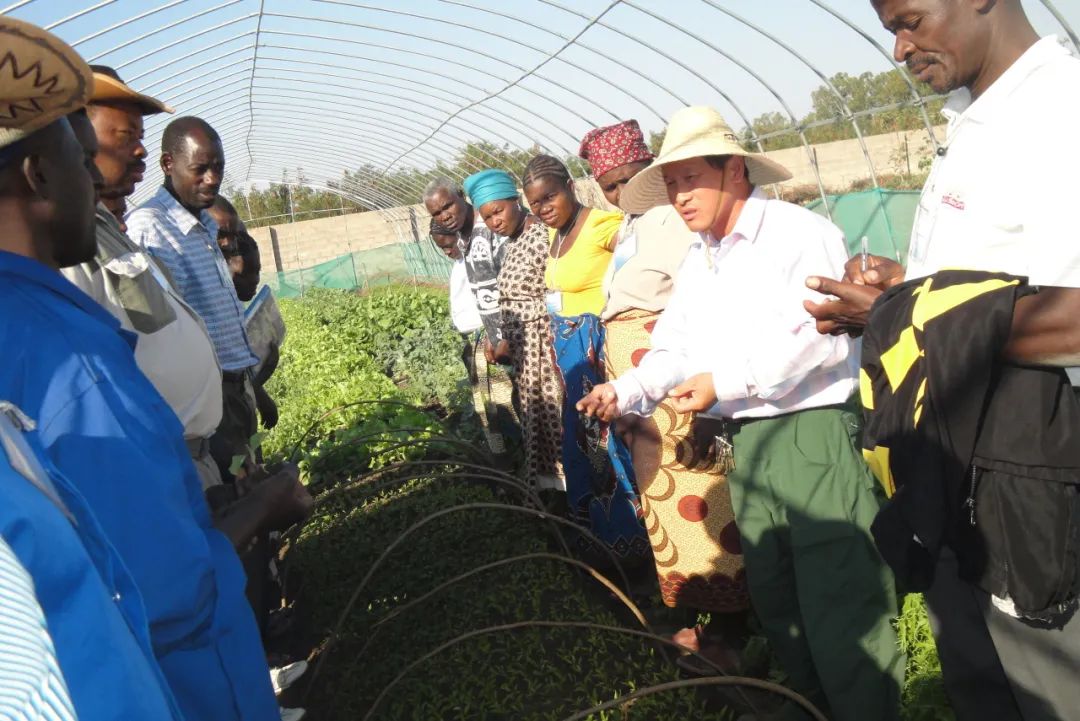 ��yun�����������