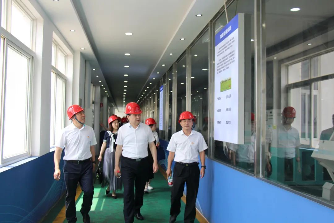 ��yun�����������