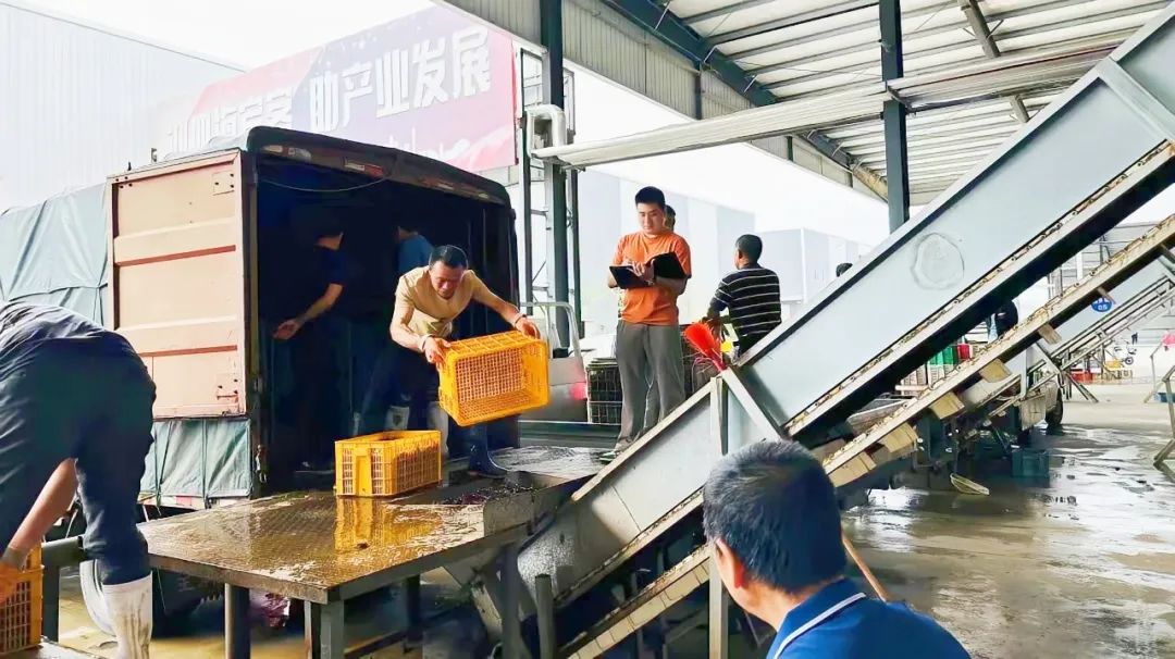 ��yun�����������