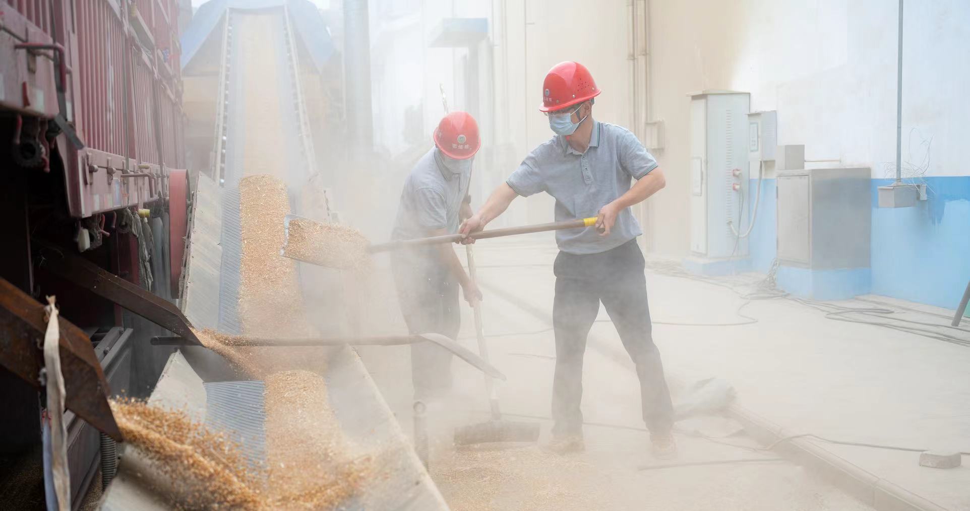 ��yun�����������