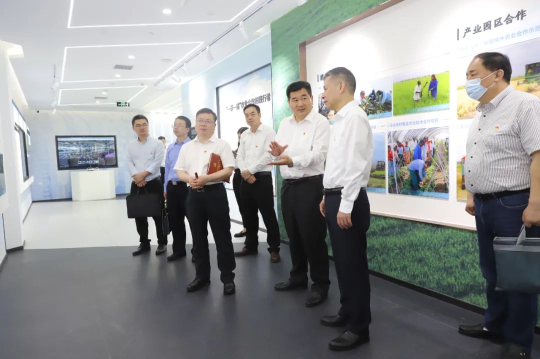 ��yun�����������