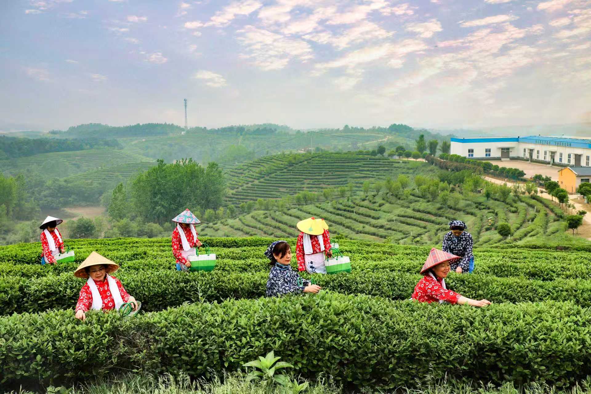 ��yun�����������