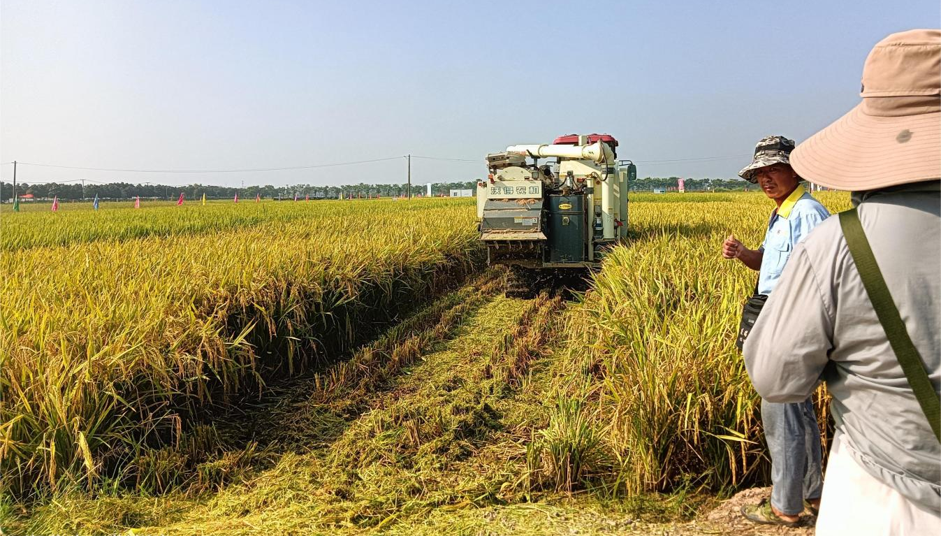 ��yun�����������