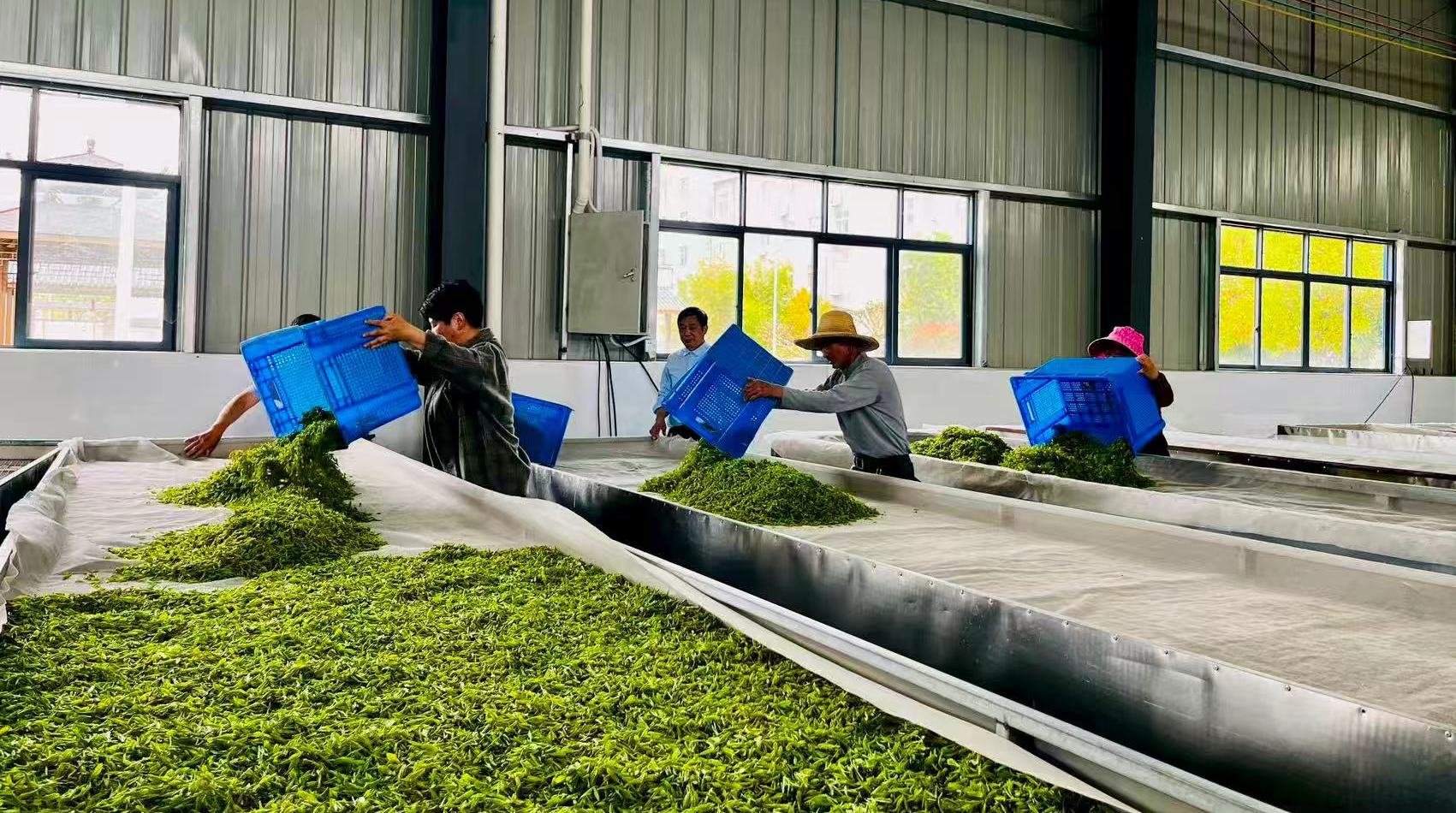 ��yun�����������