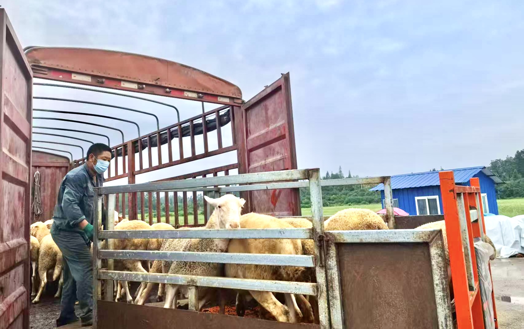 ��yun�����������