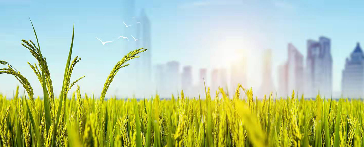 ��yun�����������