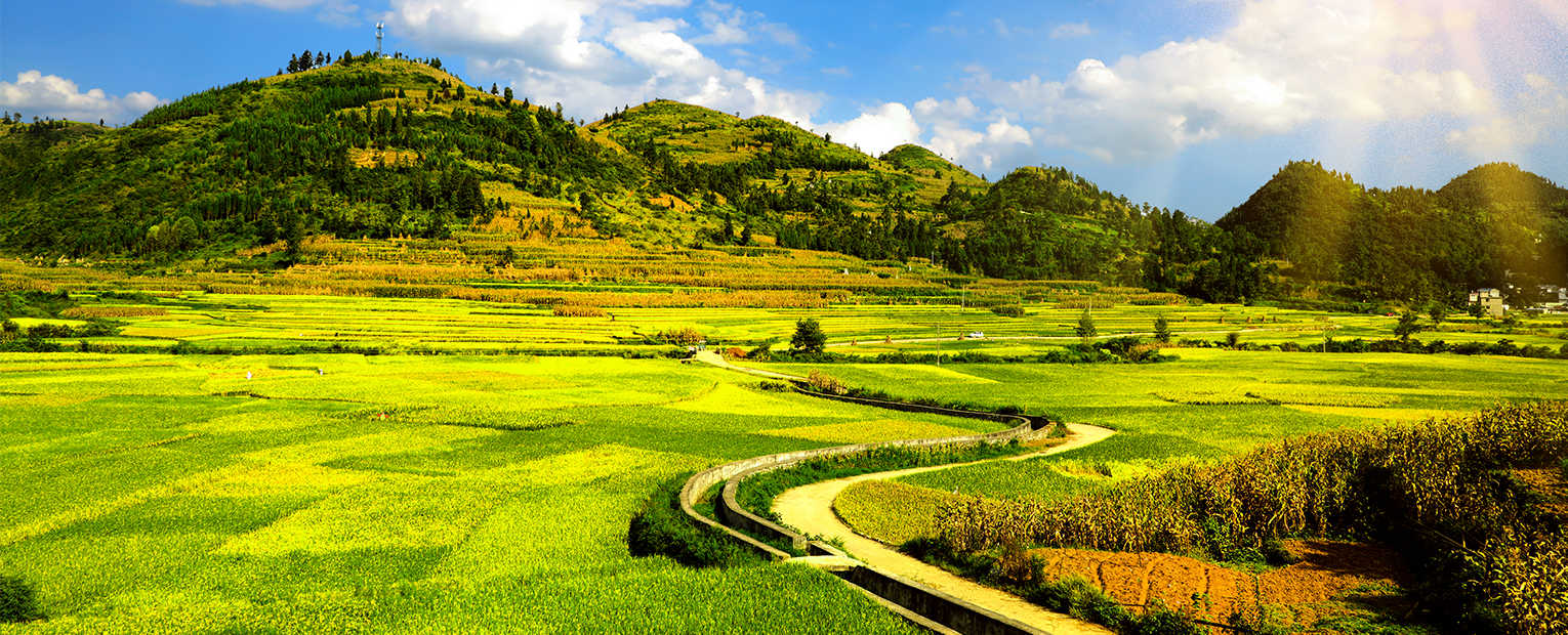 ��yun�����������